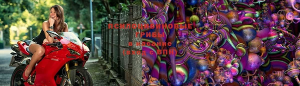 герыч Кодинск