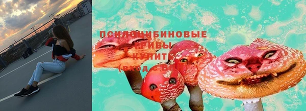 дмт Нягань